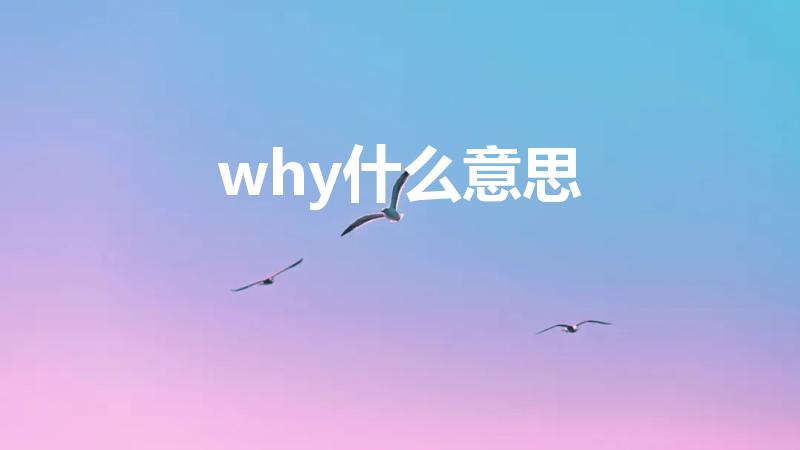 why什么意思（why的中文是什么意思）