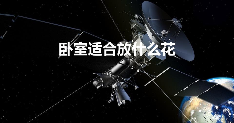 卧室适合放什么花（卧室适合养什么花最好）