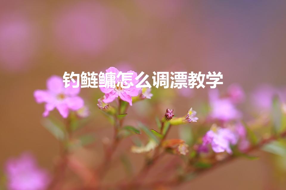 钓鲢鳙怎么调漂教学（钓鲢鳙调漂操作方法）
