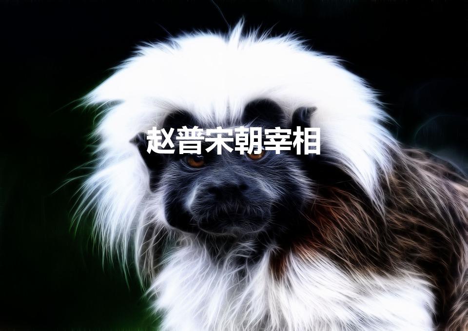 赵普宋朝宰相（赵普是哪个朝代的人物）