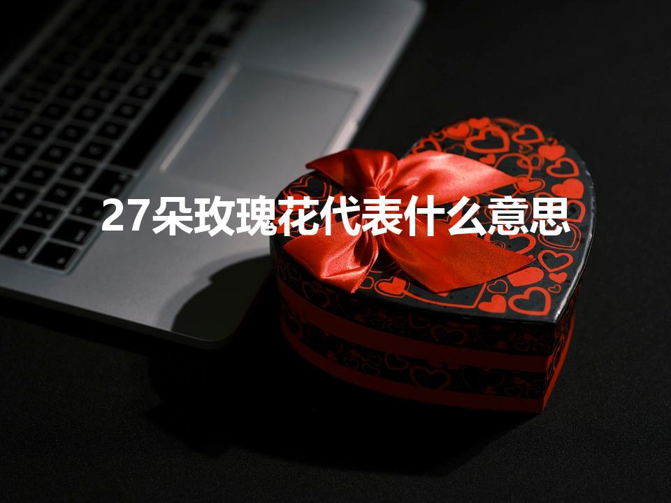 27朵玫瑰花代表什么意思（272朵玫瑰代表什么意思）