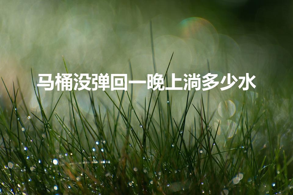 马桶没弹回一晚上淌多少水（厕所马桶漏水一晚有多少水）