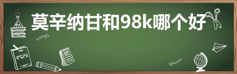 莫辛纳甘和98k哪个好（98k和莫辛纳甘哪个好）