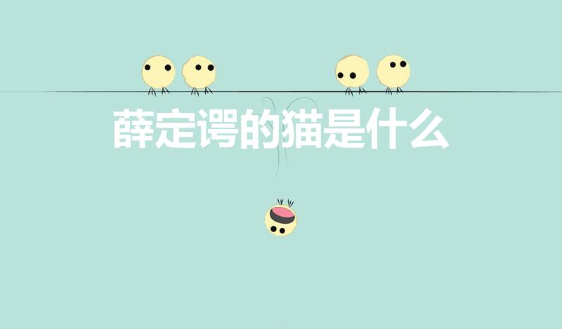 薛定谔的猫是什么（什么是薛定谔的猫）