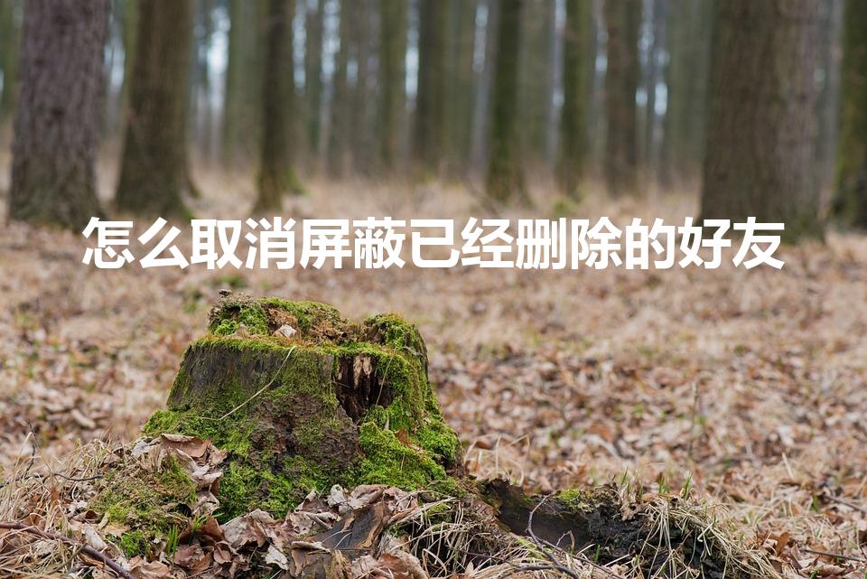 怎么取消屏蔽已经删除的好友（以删除的人怎样取消屏蔽消息）