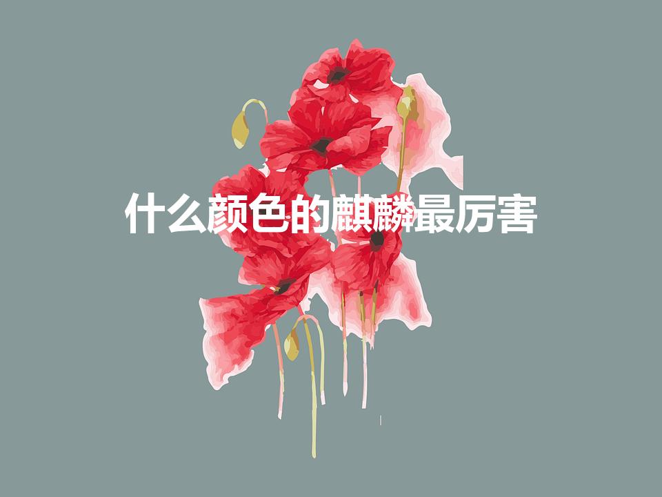 什么颜色的麒麟最厉害（麒麟的颜色）