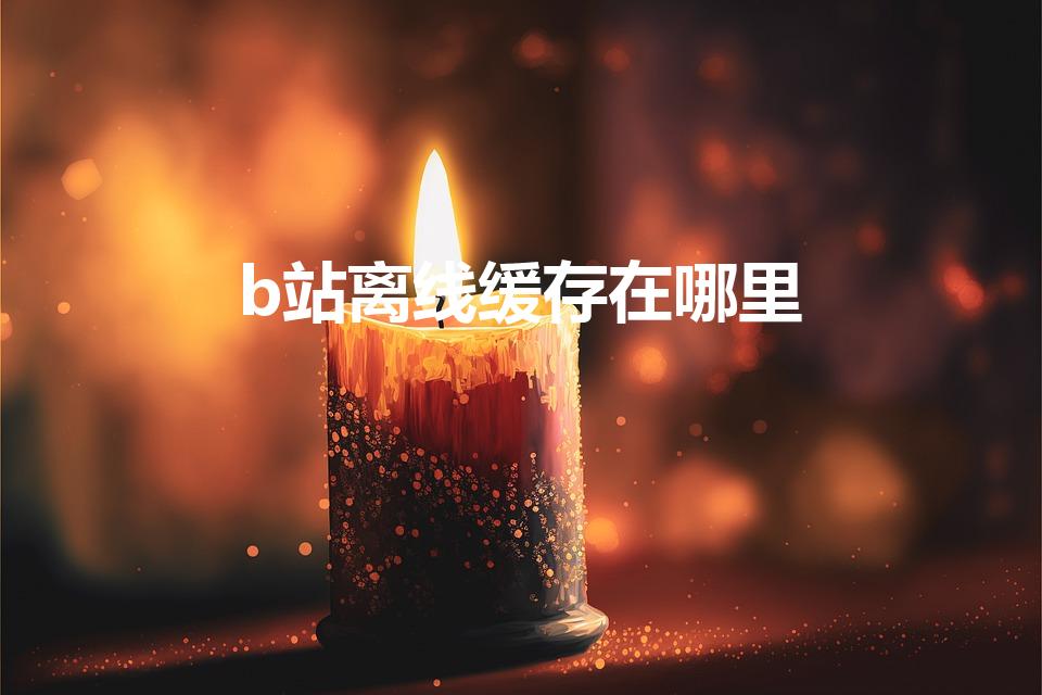 b站离线缓存在哪里（b站缓存的视频在哪里）