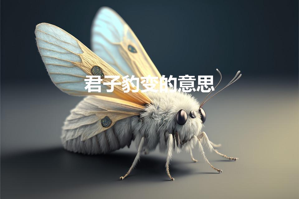 君子豹变的意思（“君子豹变”是什么意思有什么典故呢）