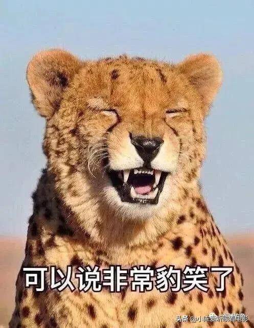 有关谐音的笑话有哪些？搞笑版的笑话大全