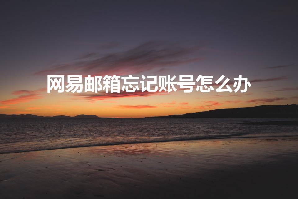 网易邮箱忘记账号怎么办（网易账号忘记了,如何找回）