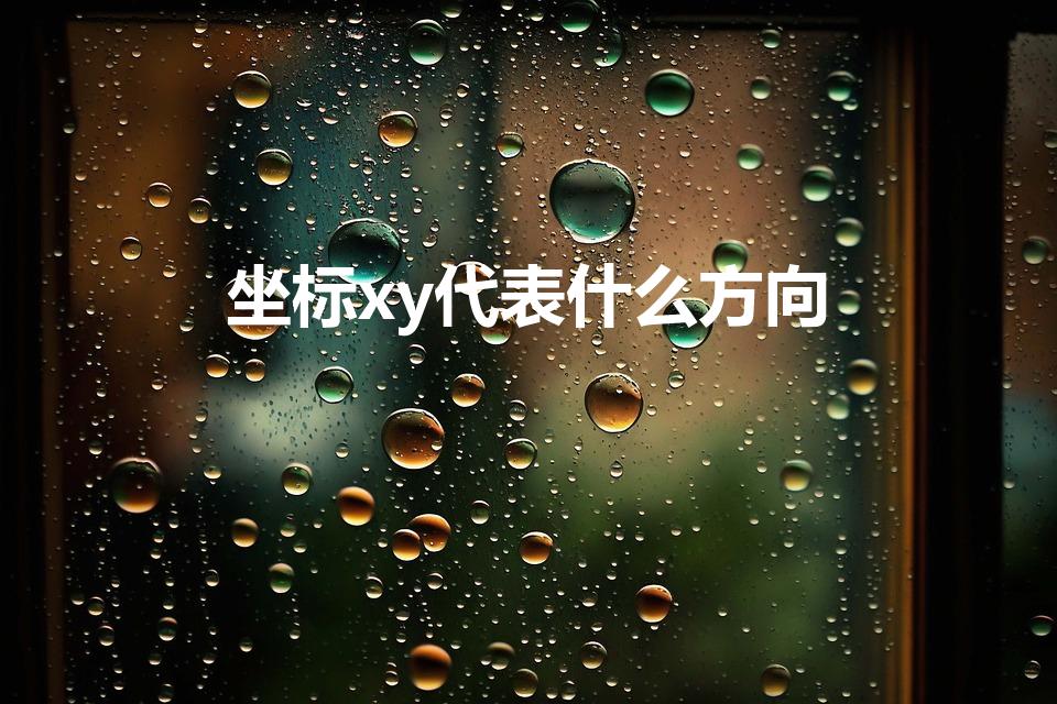 坐标xy代表什么方向（xy轴代表什么方向）