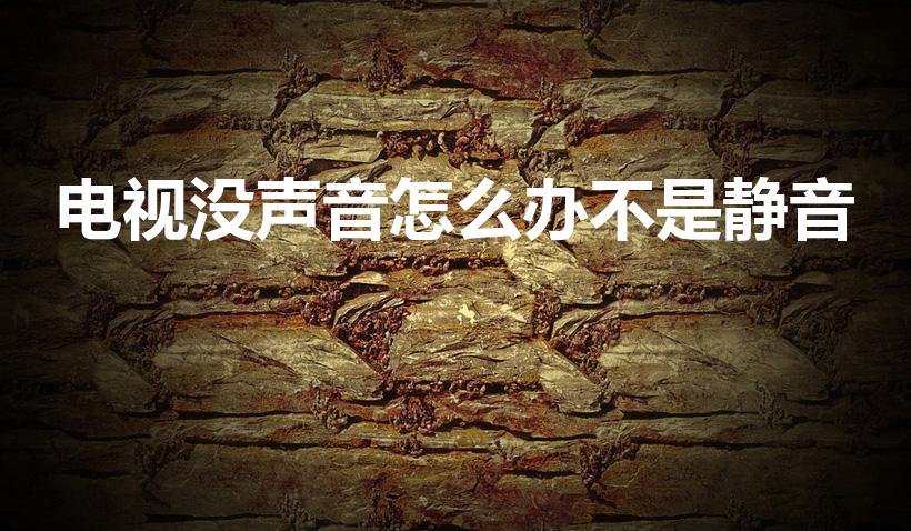 电视没声音怎么办不是静音（电视没静音但是没声音）