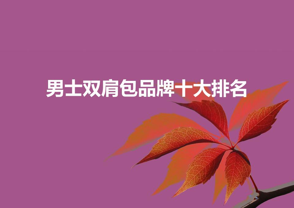 男士双肩包品牌十大排名（双肩包品牌十大排名男士推荐）