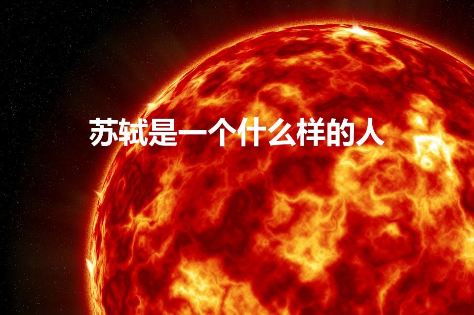 苏轼是一个什么样的人