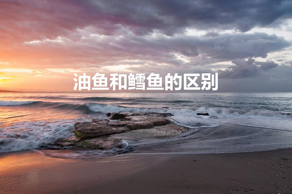 油鱼和鳕鱼的区别（鳕鱼和油鱼的区别）