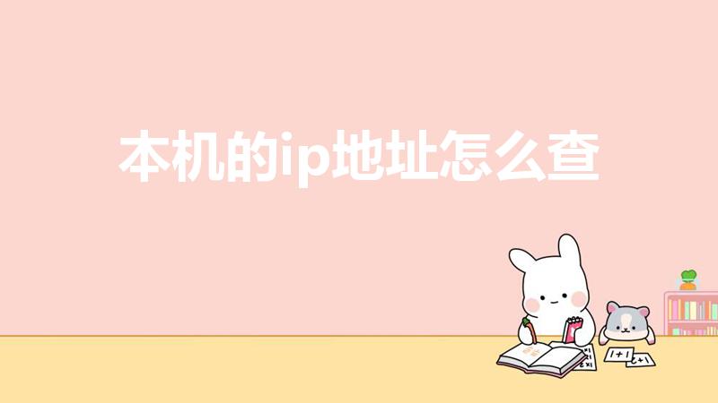 本机的ip地址怎么查（怎么查自己电脑的ip地址啊）