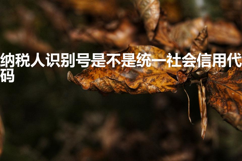 纳税人识别号是不是统一社会信用代码