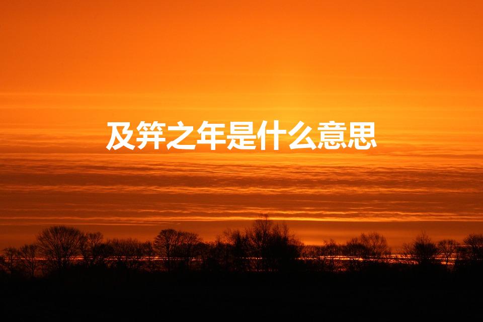 及笄之年是什么意思（及笄之年是什么意思 及笄之年的解释）