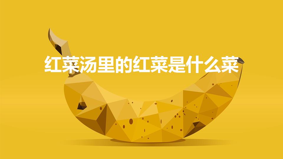 红菜汤里的红菜是什么菜（俄罗斯红菜汤怎么做什么是红菜）