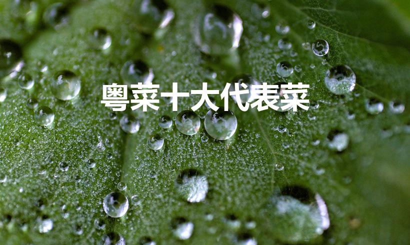 粤菜十大代表菜（粤菜十大招牌菜）
