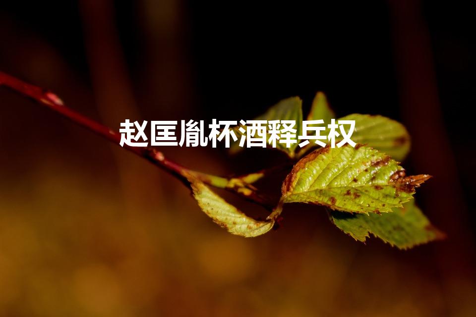 赵匡胤杯酒释兵权（赵匡胤杯酒释兵权的故事）