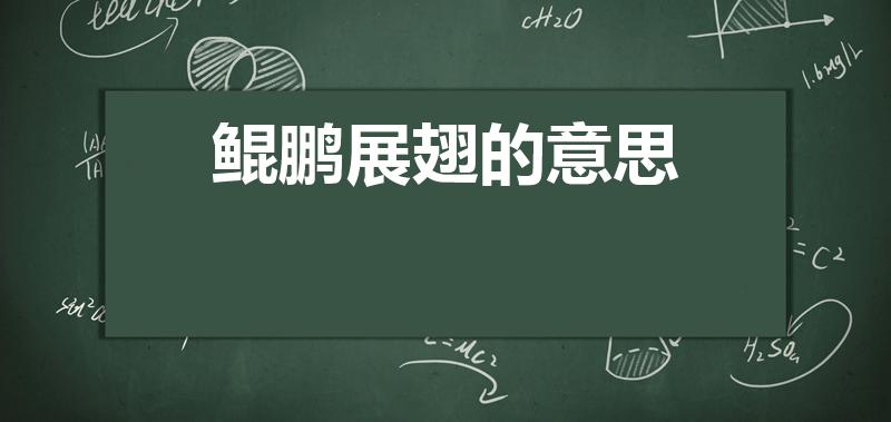 鲲鹏展翅的意思（成语的含义解释）