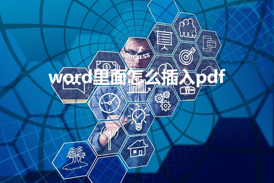 word里面怎么插入pdf（怎么把pdf放到word里）