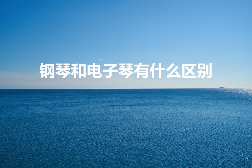 钢琴和电子琴有什么区别（电子琴和钢琴的区别在于哪里）