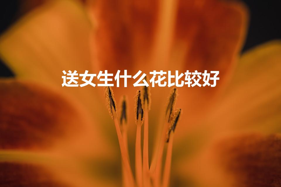 送女生什么花比较好（送花给女朋友送什么花）