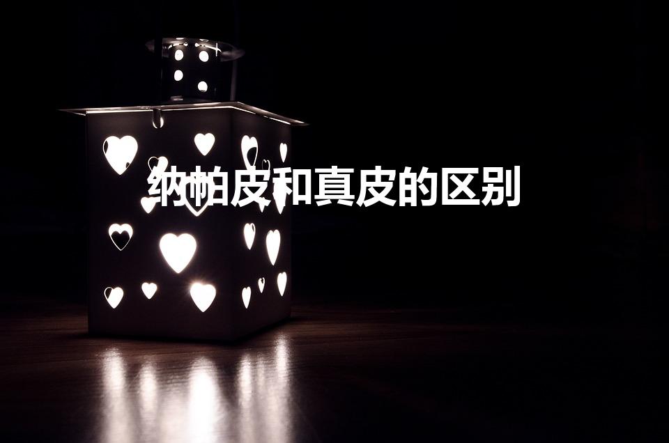 纳帕皮和真皮的区别（纳帕皮沙发和真皮沙发的区别）