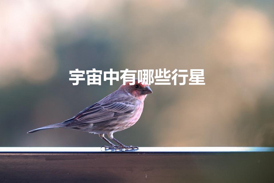 宇宙中有哪些行星（宇宙有哪些星球）