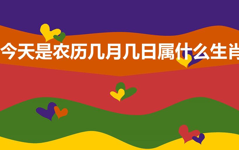 今天是农历几月几日属什么生肖（今天是几号）
