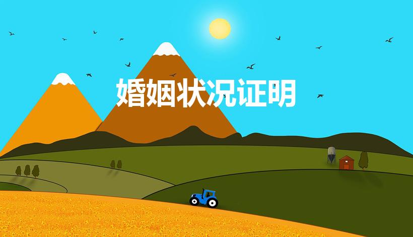 婚姻状况证明（婚姻状况证明怎么开具的）