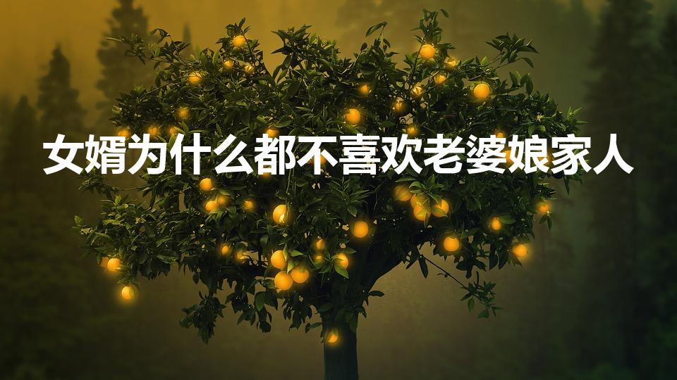 女婿为什么都不喜欢老婆娘家人