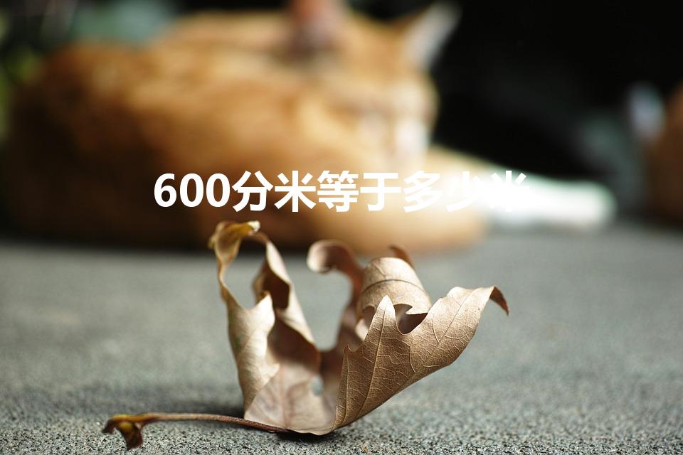 600分米等于多少米（6米小于600分米对吗）