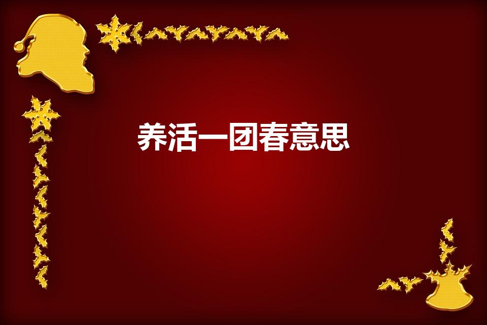 养活一团春意思（养活一团春意思,撑起两根穷骨头!何意）