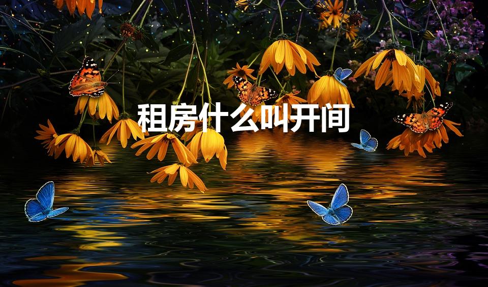 租房什么叫开间（开间是什么意思）