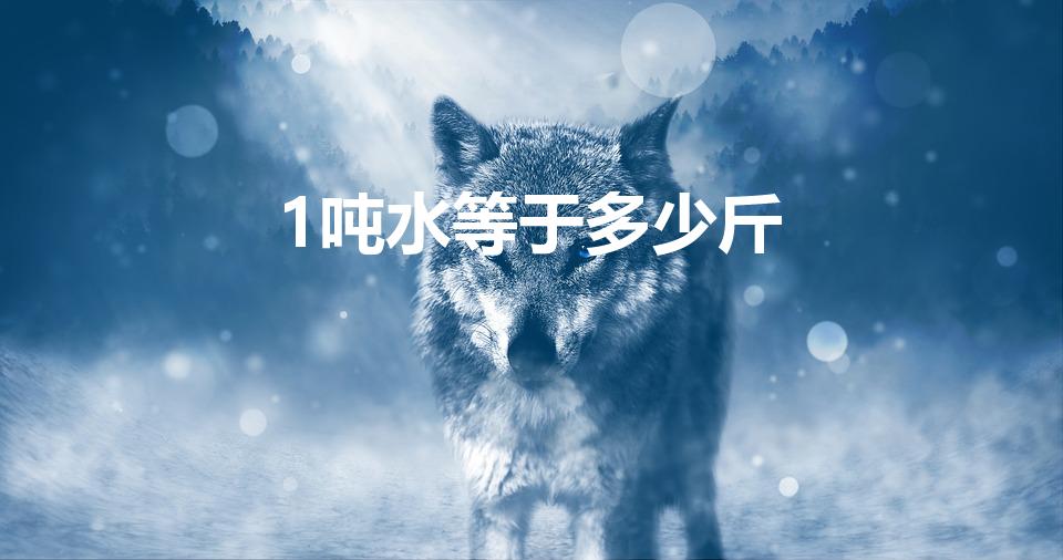 1吨水等于多少斤（一吨水有多少斤）