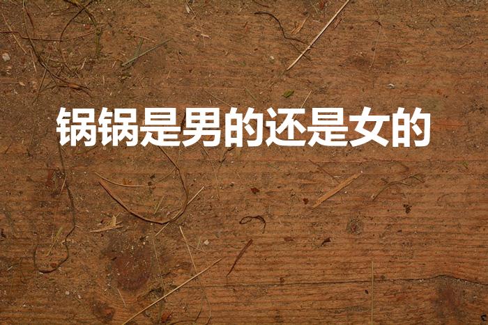 锅锅是男的还是女的（锅锅侠是男是女）
