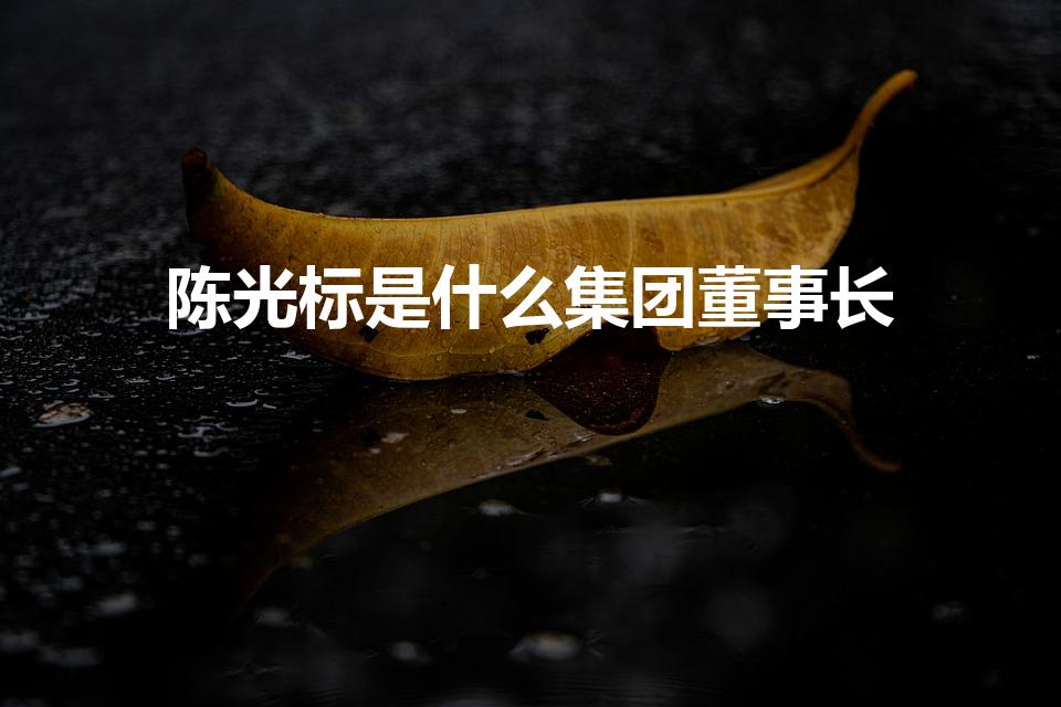 陈光标是什么集团董事长（陈光标是做什么出身的）