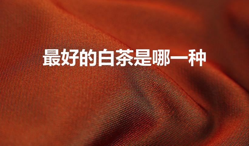 最好的白茶是哪一种（中国最好白茶排名）