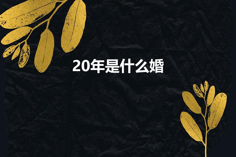 20年是什么婚（结婚二十年叫什么婚）