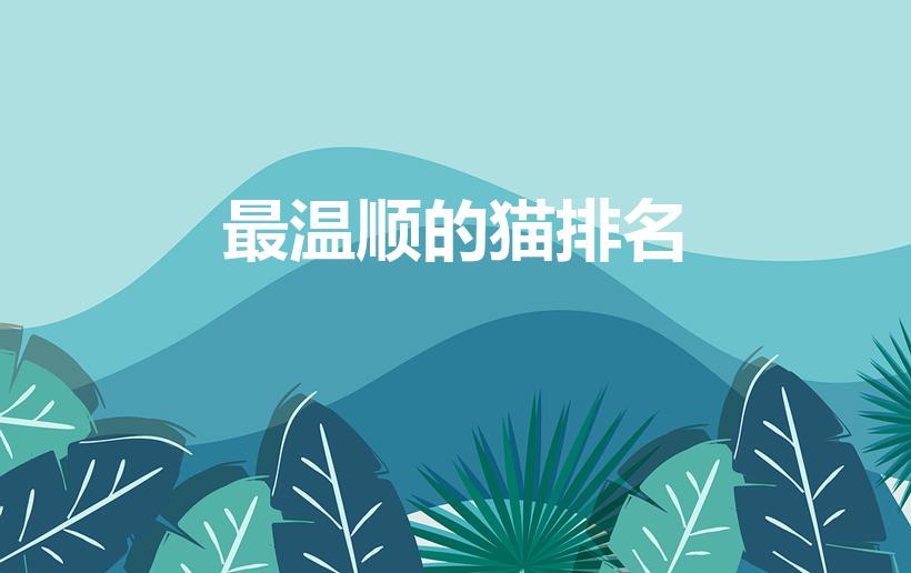 最温顺的猫排名（什么猫不掉毛好养排名）