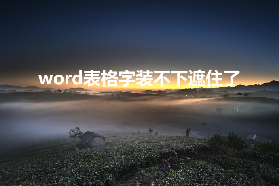 word表格字装不下遮住了（word表格字被遮住一半）