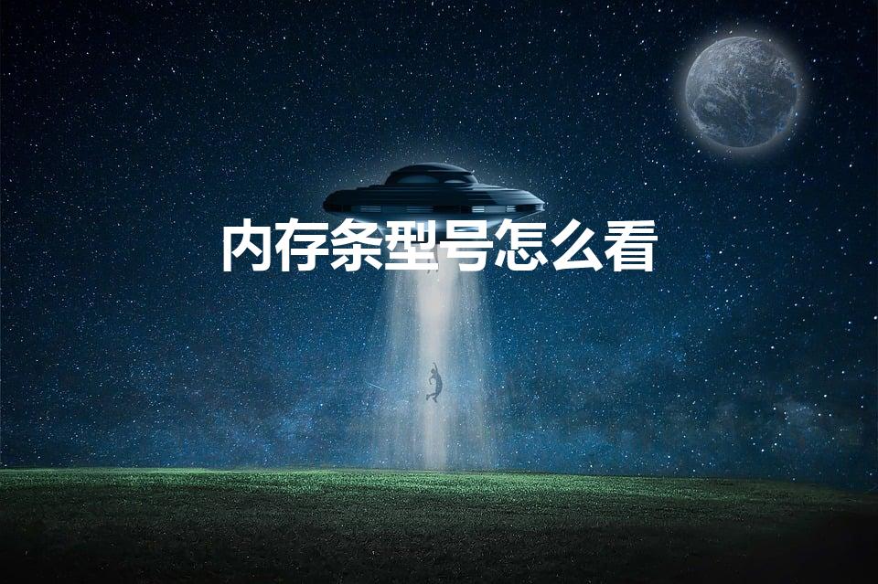 内存条型号怎么看（怎么查自己内存条型号）