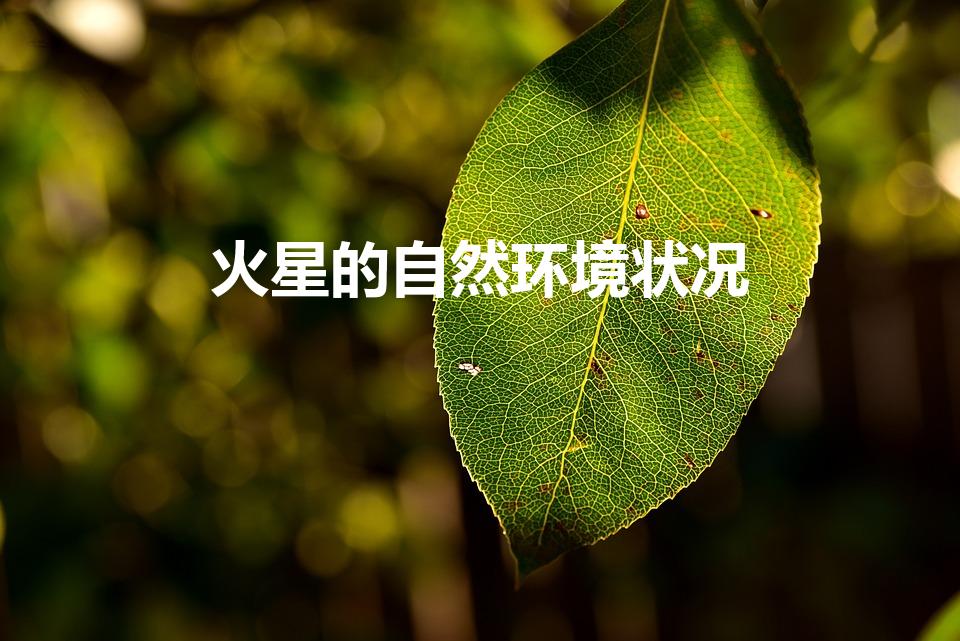火星的自然环境状况（火星的环境有那些）