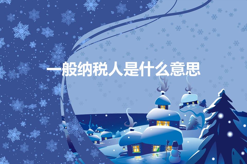 一般纳税人是什么意思（“一般纳税人”是什么意思）