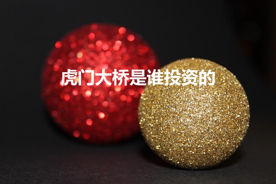 虎门大桥是谁投资的（虎门大桥一年收多少亿）