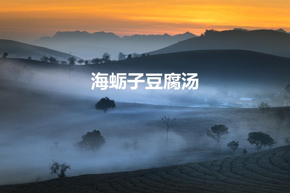 海蛎子豆腐汤（海蛎子豆腐汤的做法 怎么做海蛎子豆腐汤）
