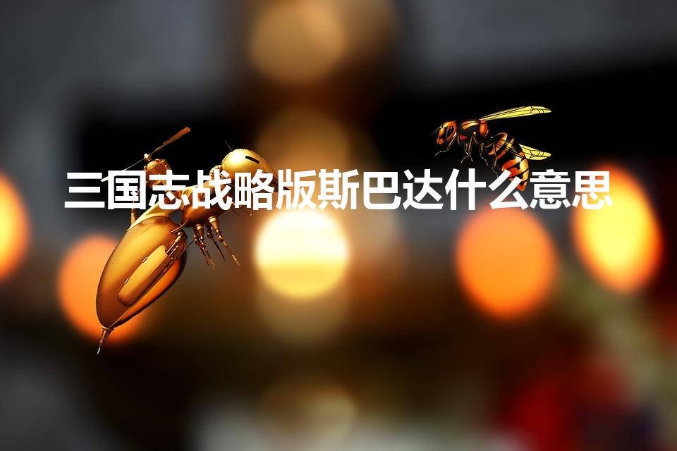 三国志战略版斯巴达什么意思（三国志入关什么意思）